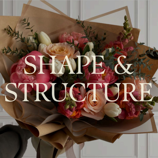 Shape & Structure