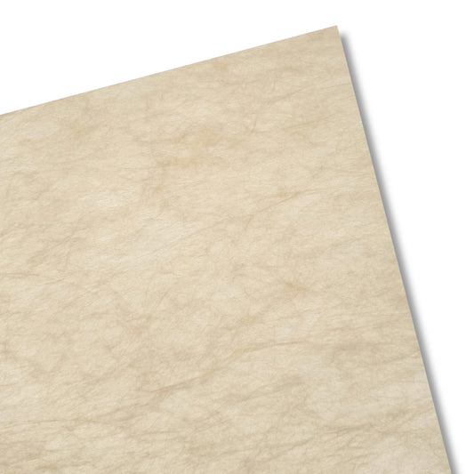 Non-Woven Tissue Papers - 40 Sheets